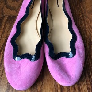 Pink Suede Navy Trim Ballet Flat J Crew Sz 7.5